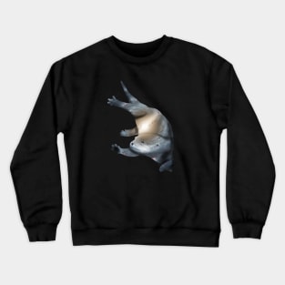 Galaxy Otter Crewneck Sweatshirt